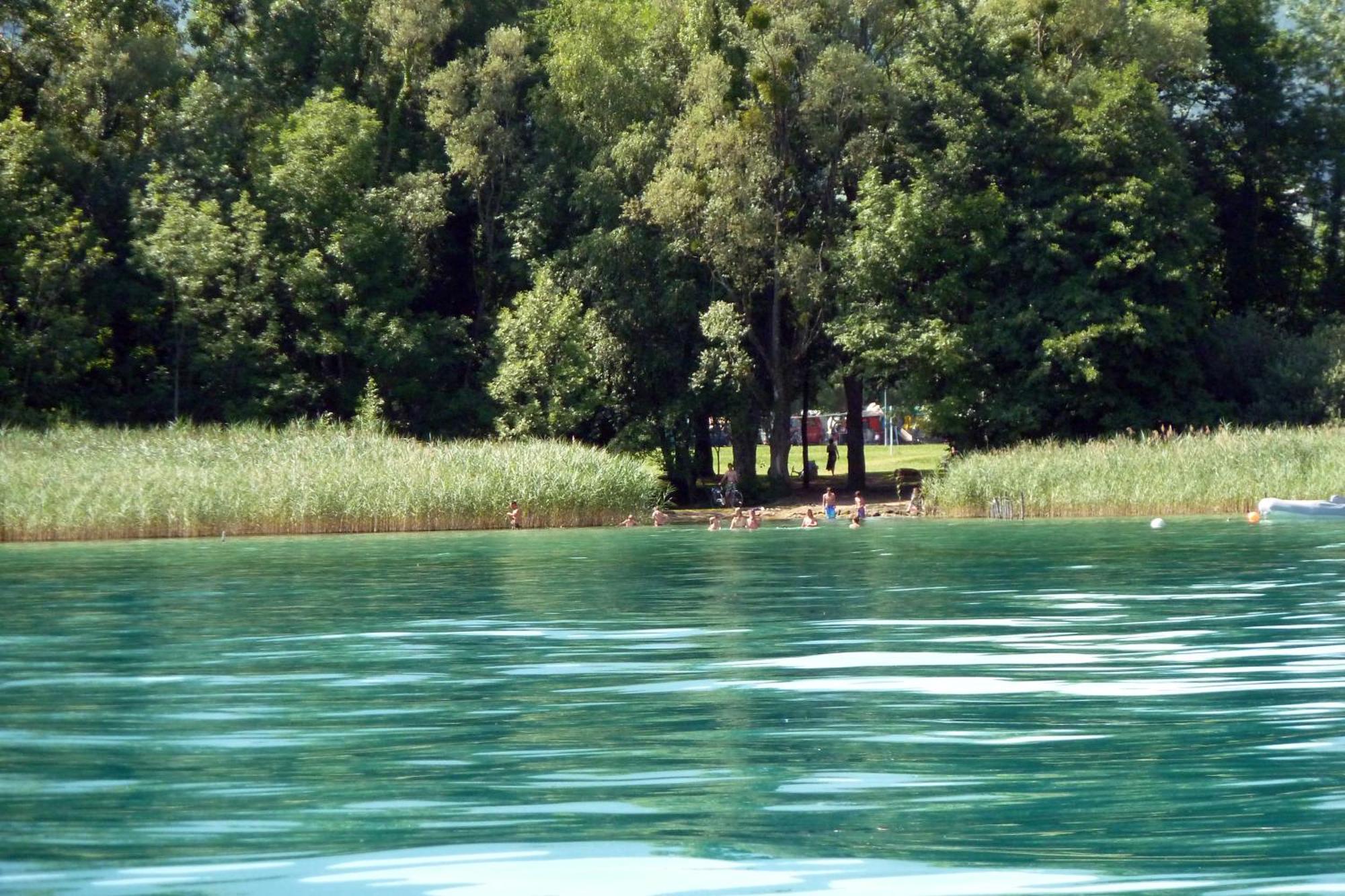 Le Solitaire Du Campsite *